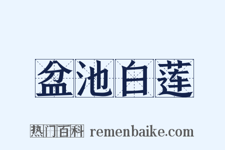 盆池白莲是什么意思的图片